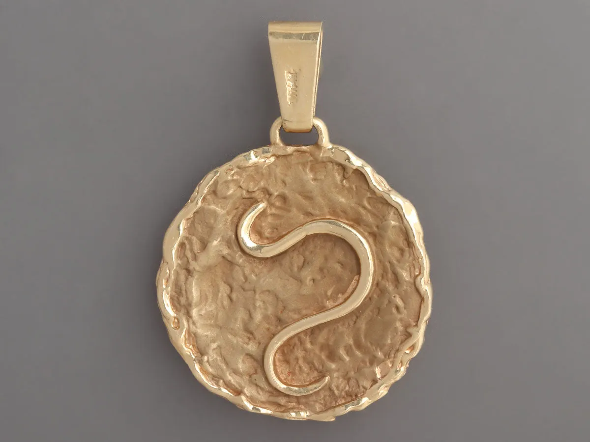 14K Yellow Gold Large Lion Head Medallion